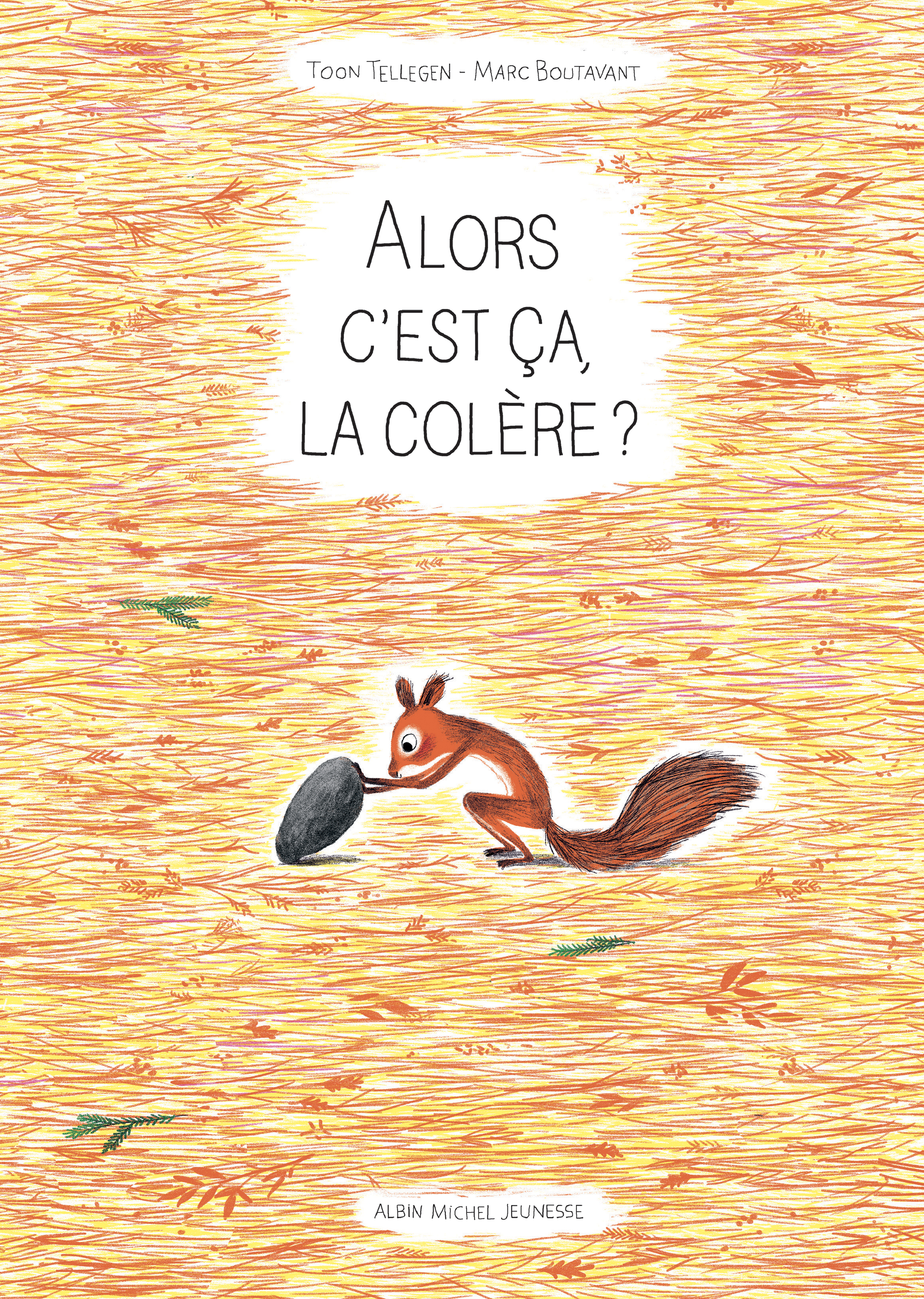 Couverture du livre Alors c'est ça la colère ?