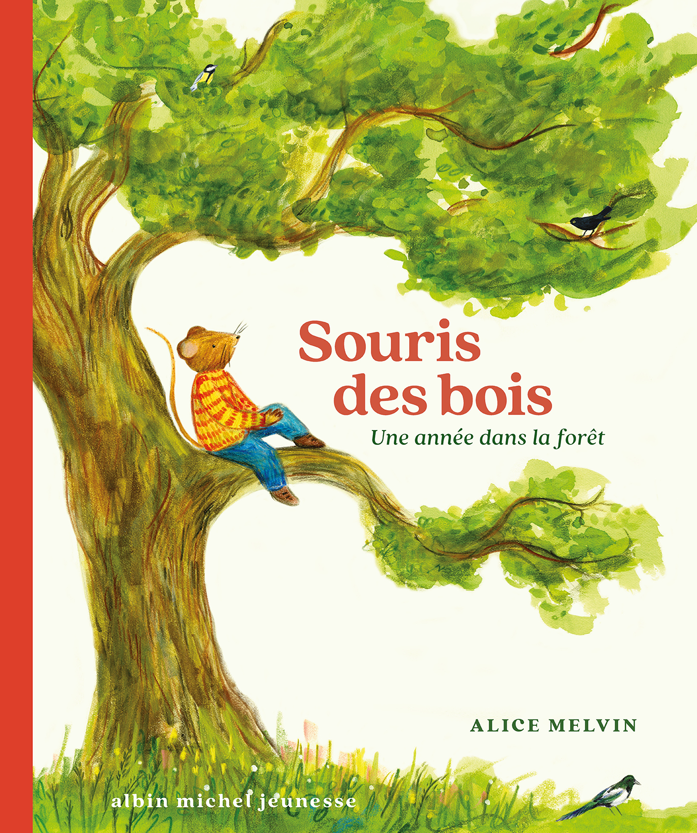 Couverture du livre Souris des bois - Une année dans la forêt