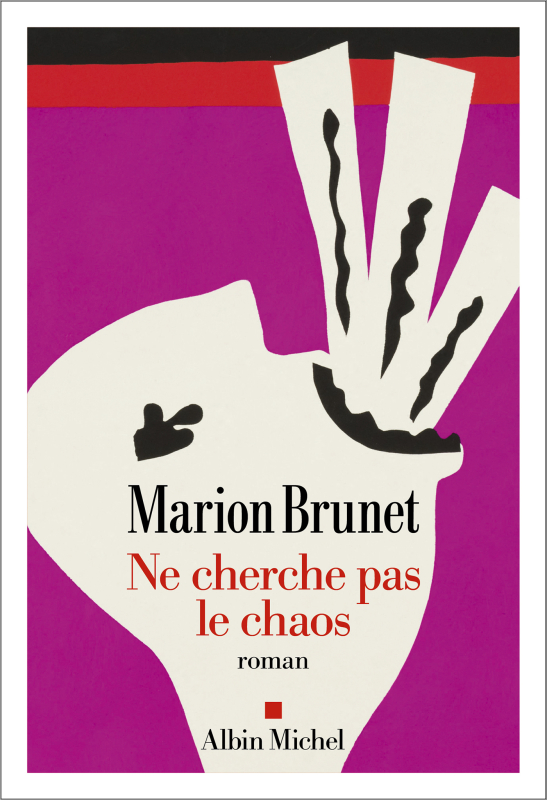 Couverture du livre Ne cherche pas le chaos