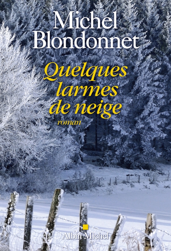 Couverture du livre Quelques larmes de neige