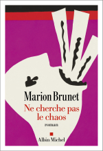 Couverture de Ne cherche pas le chaos