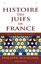 Couverture de Histoire des Juifs de France - tome 1