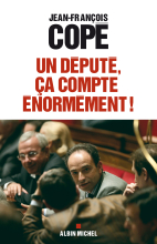Couverture de Un député, ça compte énormément !
